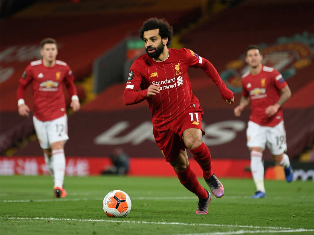 多个国家的 多个国家的