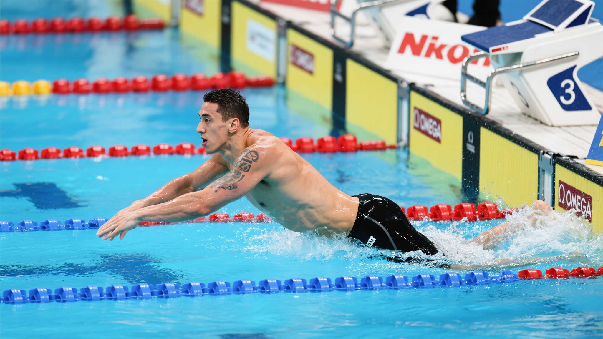 他們所獲得 他們所獲得